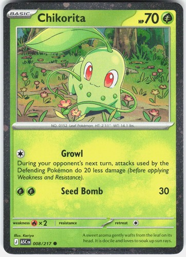 Chikorita holo - chikorita, holo)